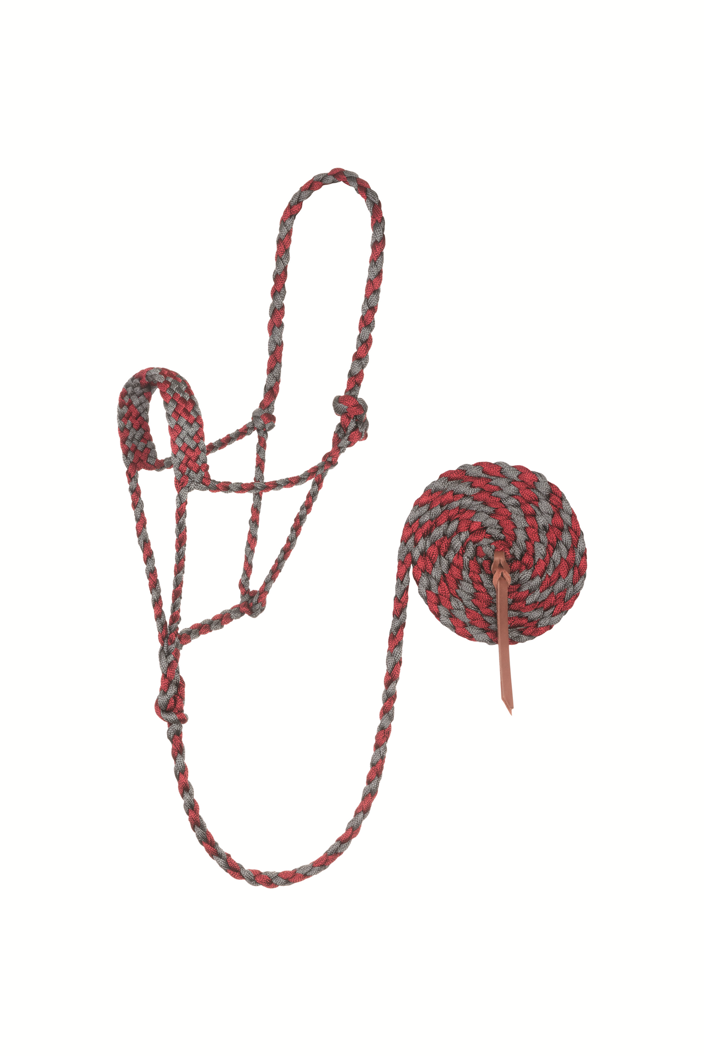 Braided Rope Halter with 10' Lead