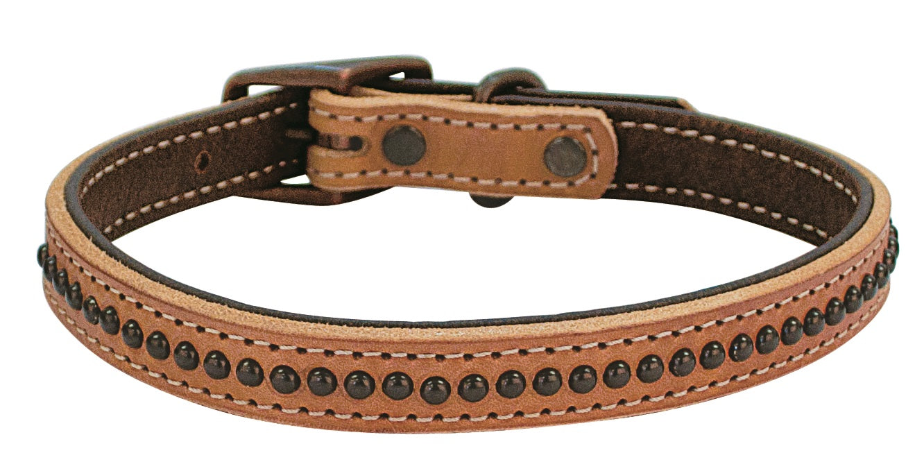 Outlaw Collar, Golden Brown