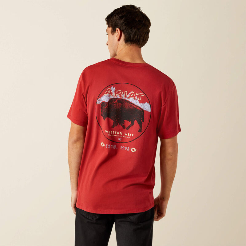 Patriot Buffalo Coin T-Shirt