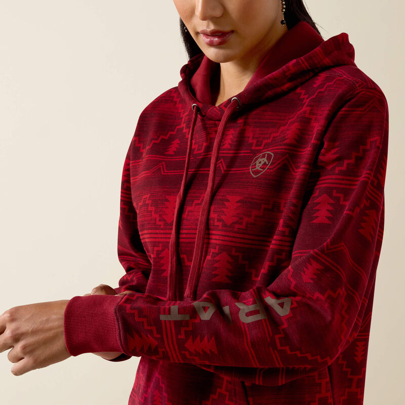 Ariat Logo 2.0 Printed Hoodie