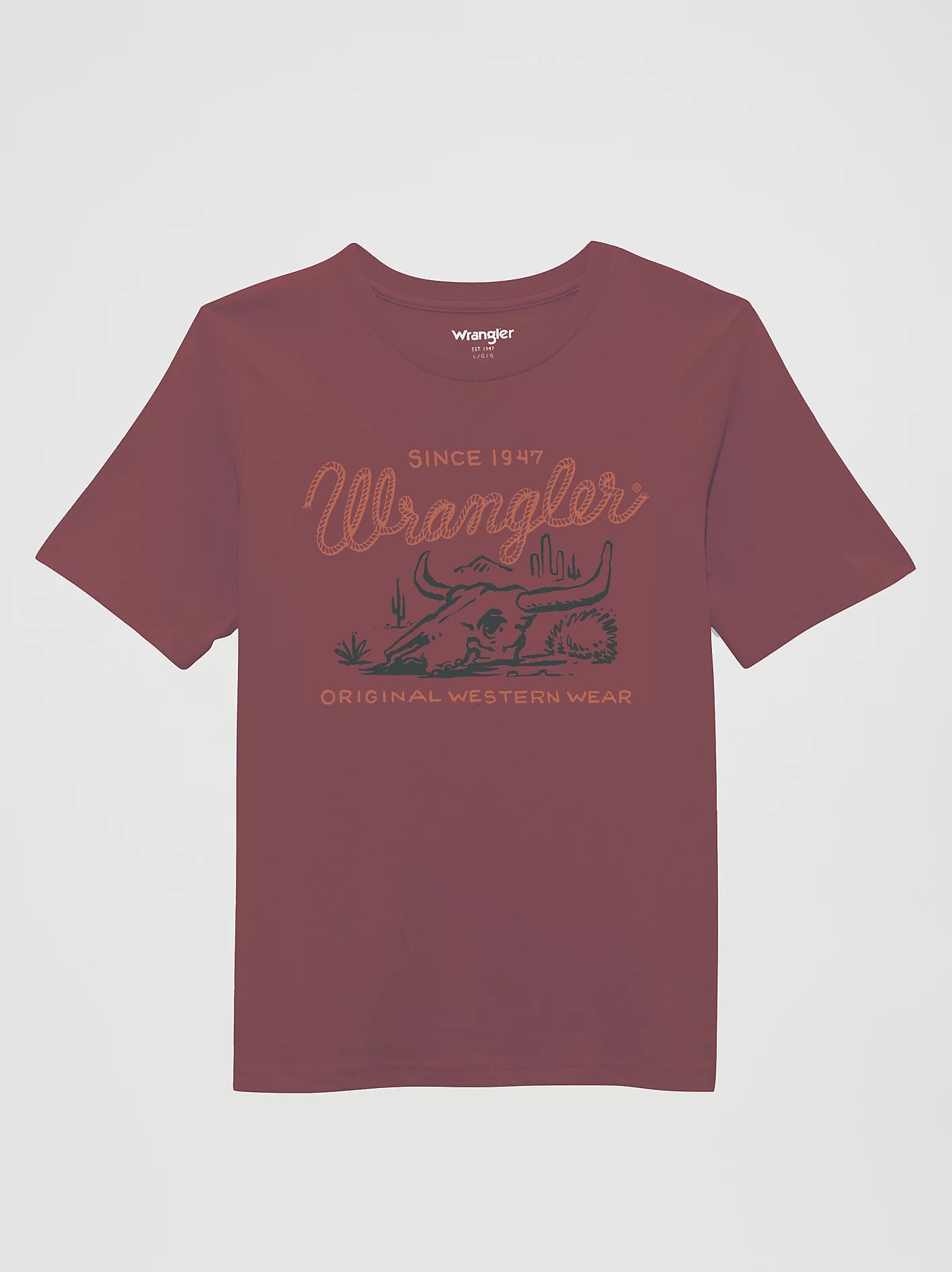 Boys Graphic T-Shirt