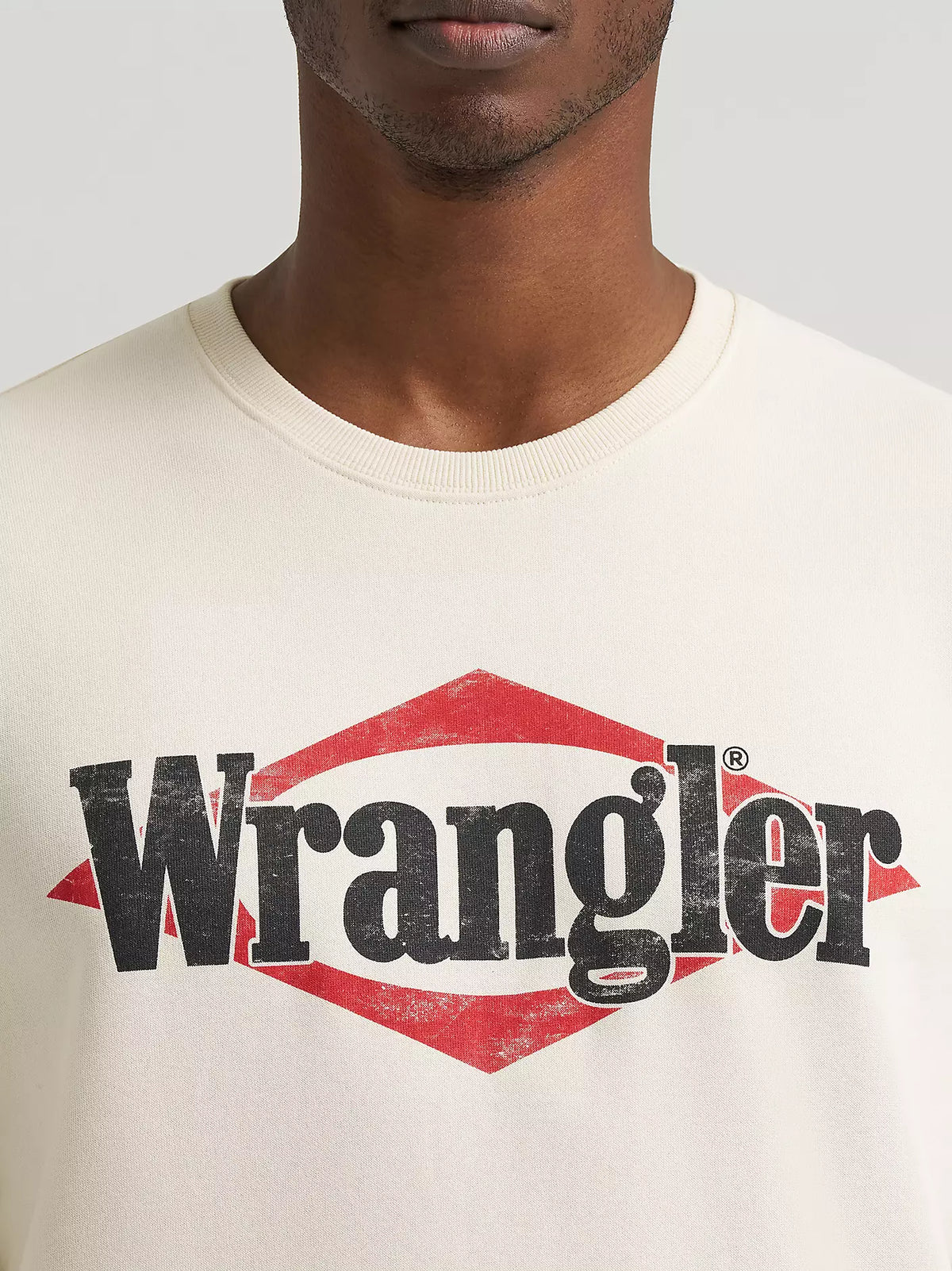 Mens Sweater
