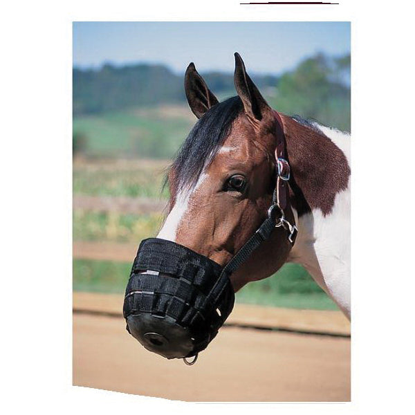 Large Grazing Muzzle