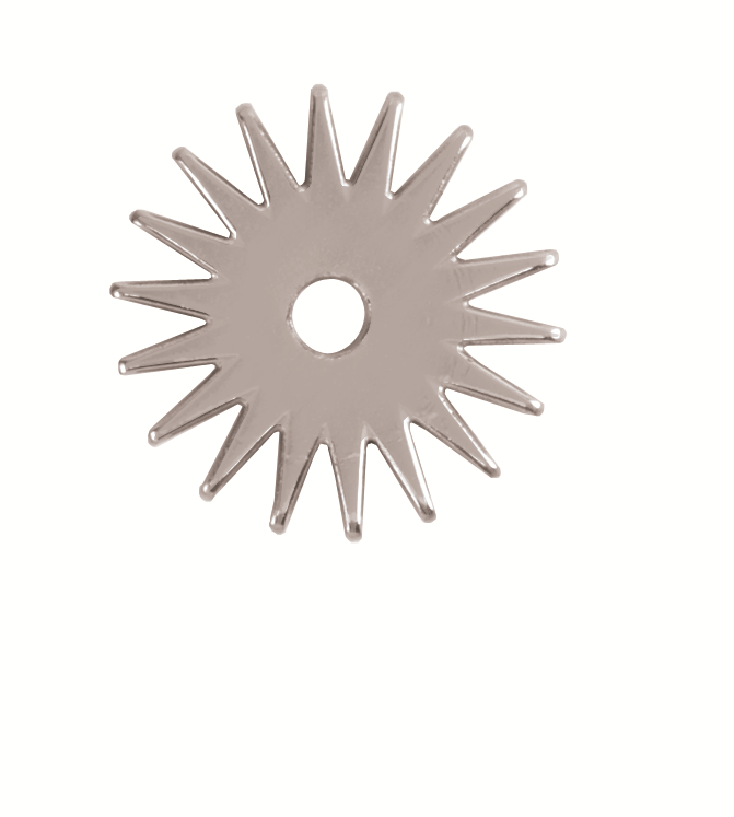 18 Point Replacement Rowel, Stainless Steel, 1-1/4"