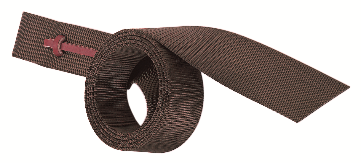 Nylon Tie Strap with Holes, 1-3/4" x 60"