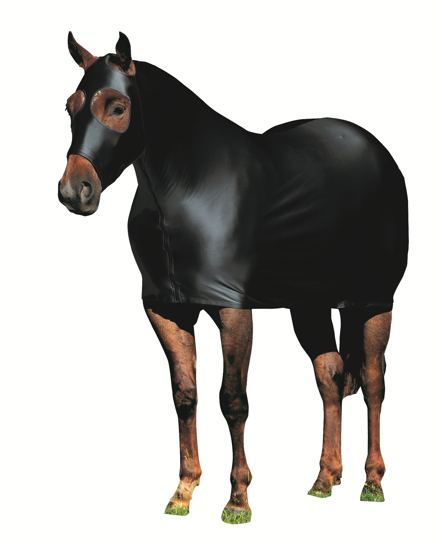Equine Lycra® Sheet