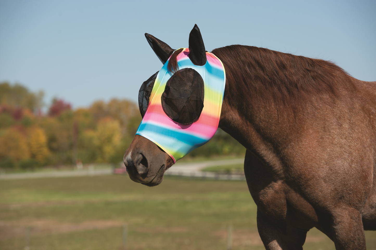 Lycra® Fly Mask