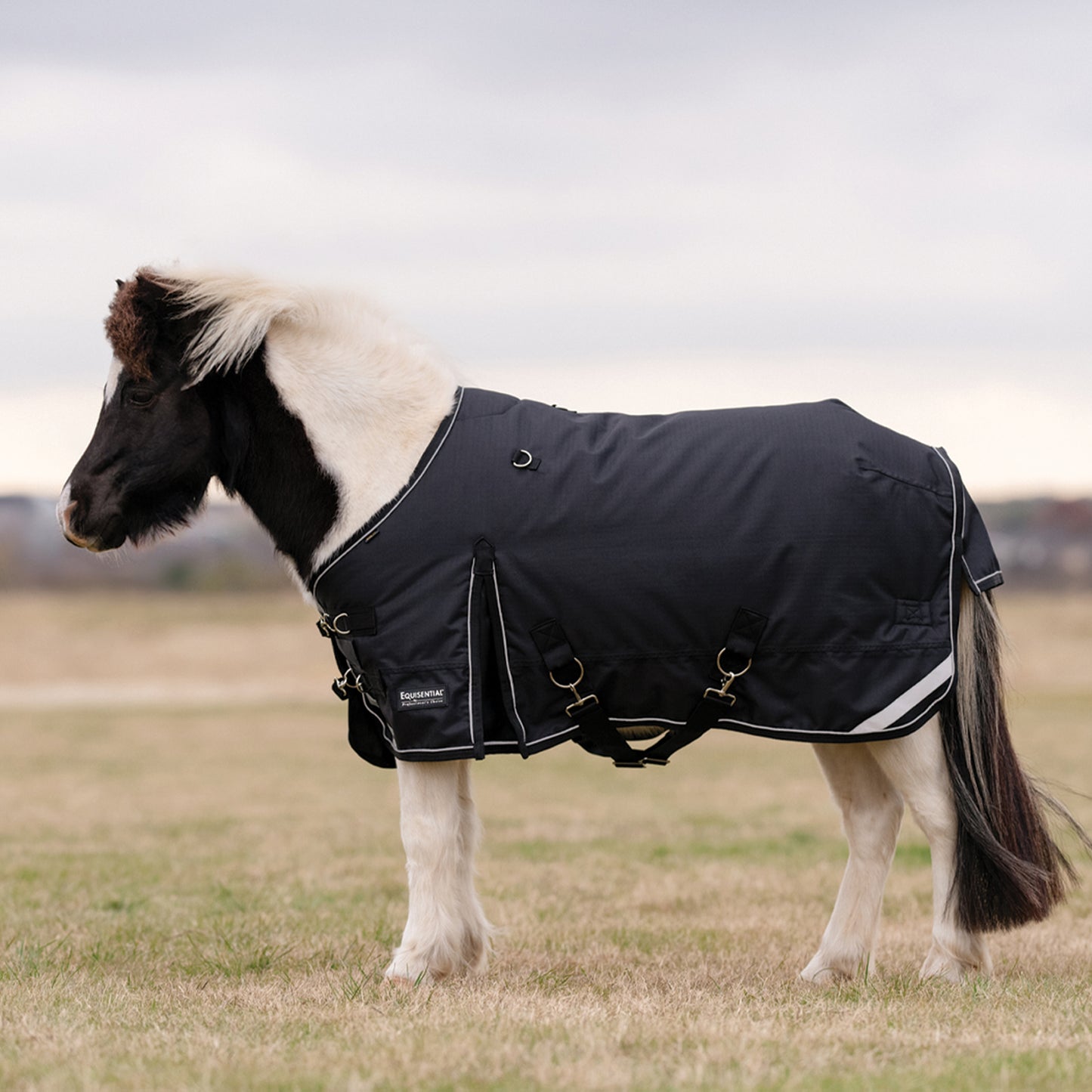 Mini Winter Blanket