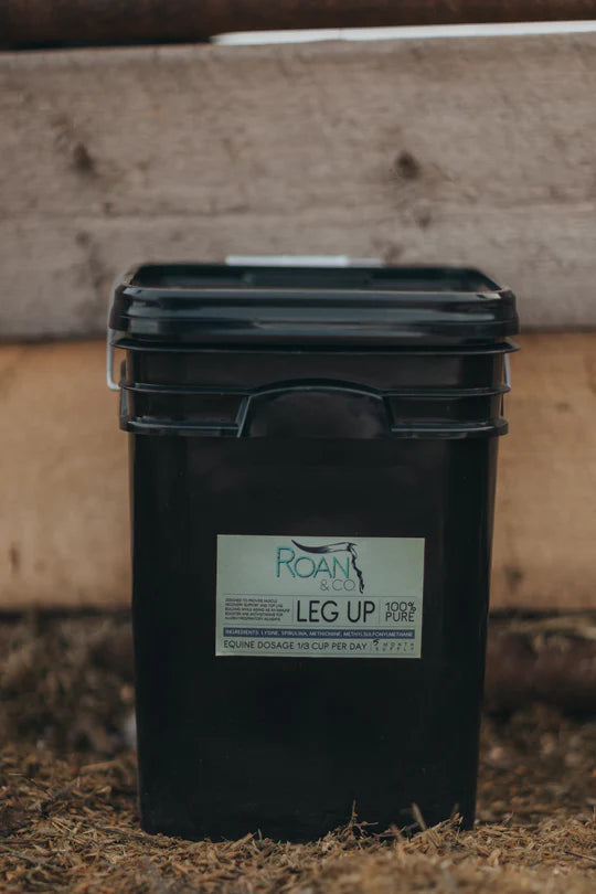 Leg Up - 5 months