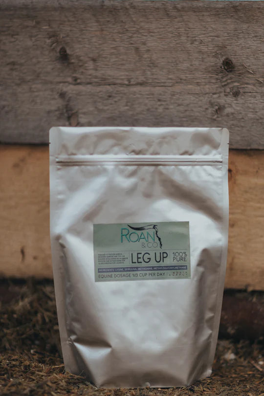 Leg up - 1 Month