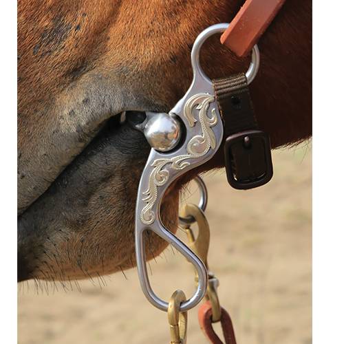 Bob Avila Dog Bone Bit