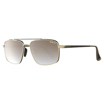 Accel - Gold/Brown/Silver