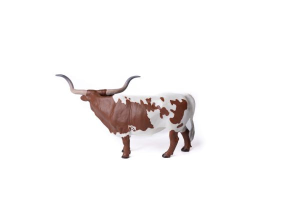 Texas Longhorn Steer