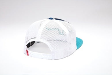 Kimes Ball Cap - Vega