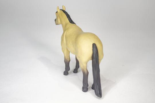Quarter Horse Buckskin