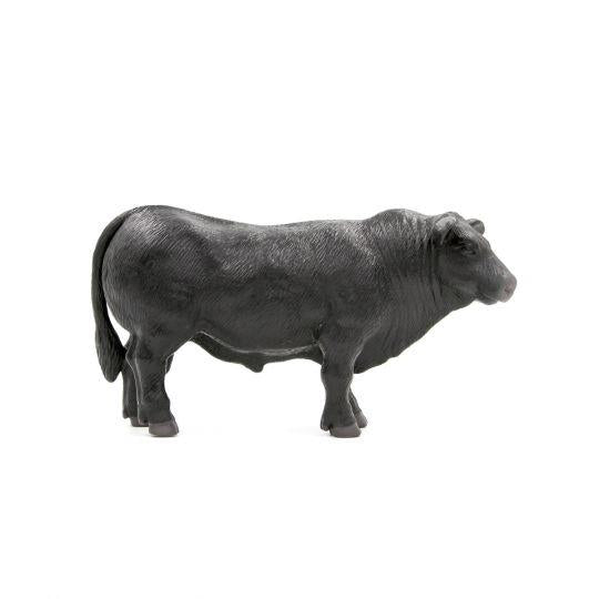 Angus Bull
