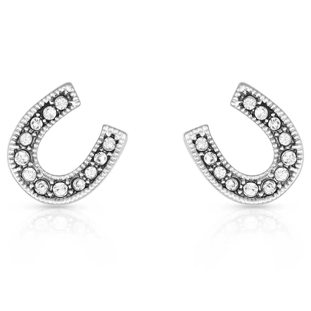 Crystal Clear Stuck on Luck Post Earrings