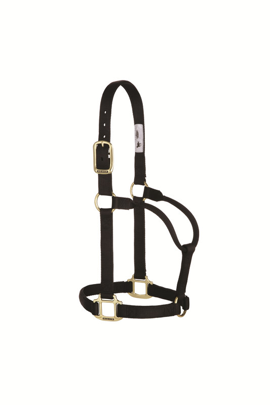 Original Non-Adjustable Halter , 1" Small