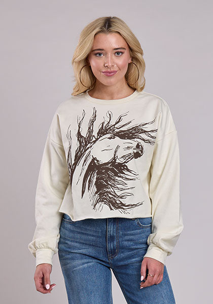 Ladies Sweater