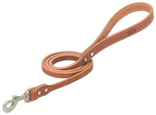 Terrain D.O.G.® Buttered Harness Leather Hybrid Dog Leash, 3/4" x 4'