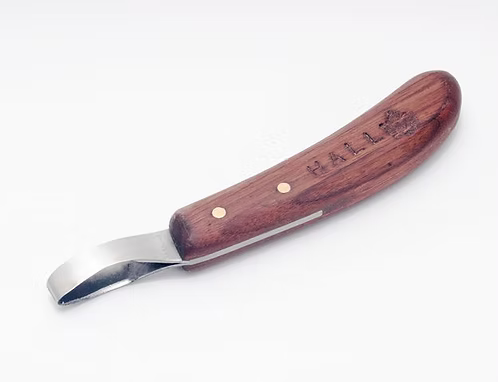 Hall Loop Knife