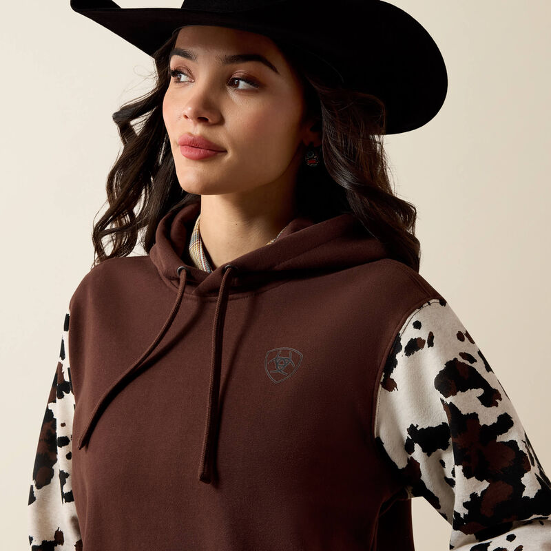 Ariat Logo 2.0 Printed Hoodie