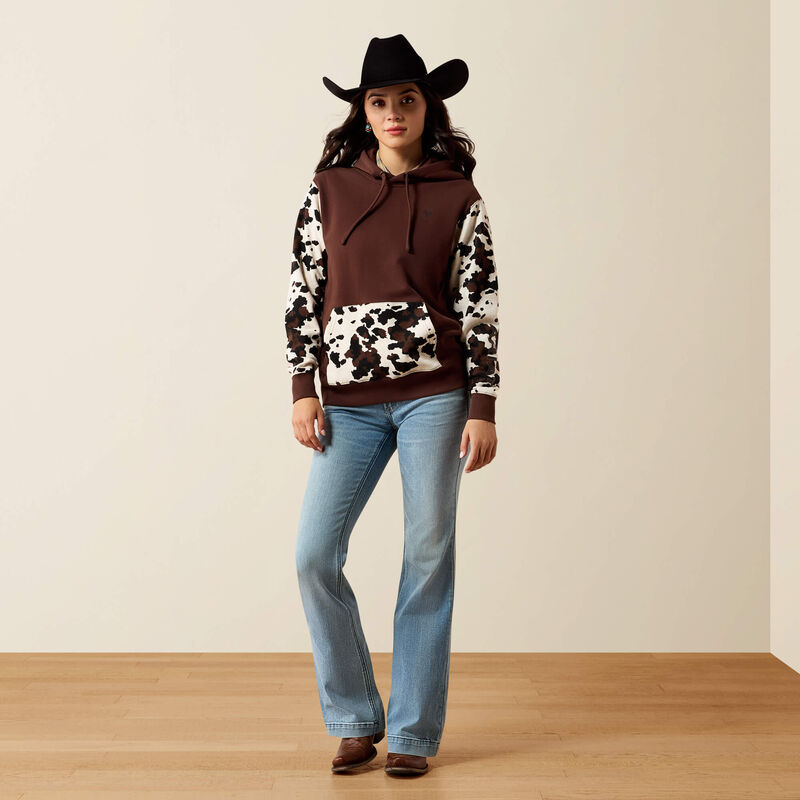 Ariat Logo 2.0 Printed Hoodie