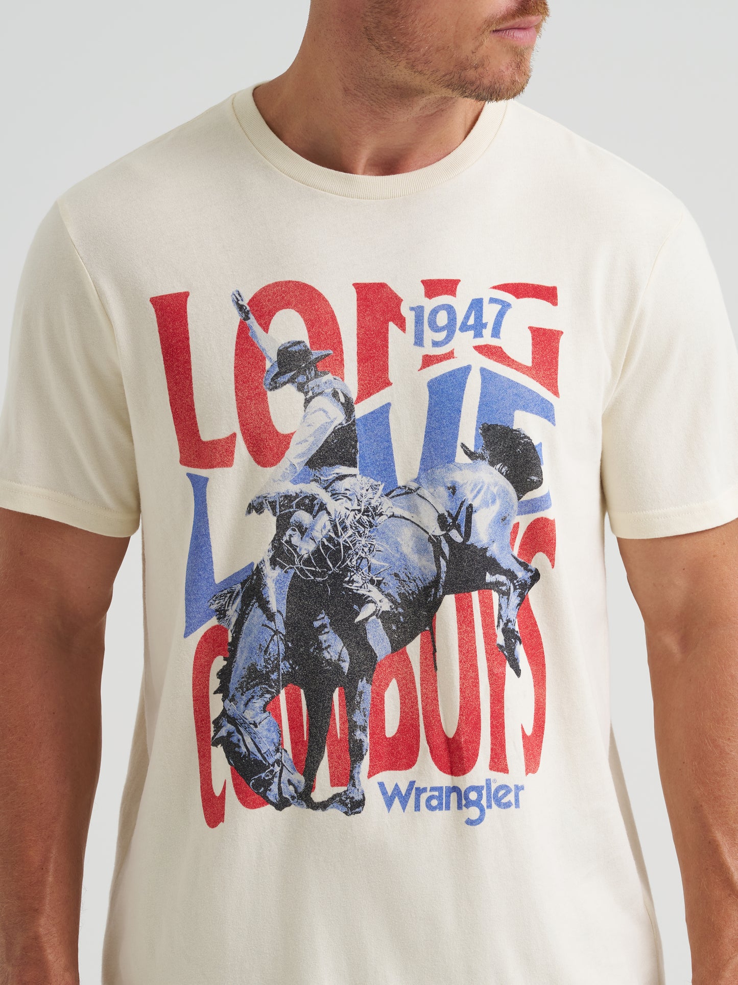 Mens Graphic Tee
