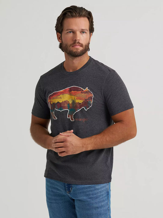 Mens Graphic Tee