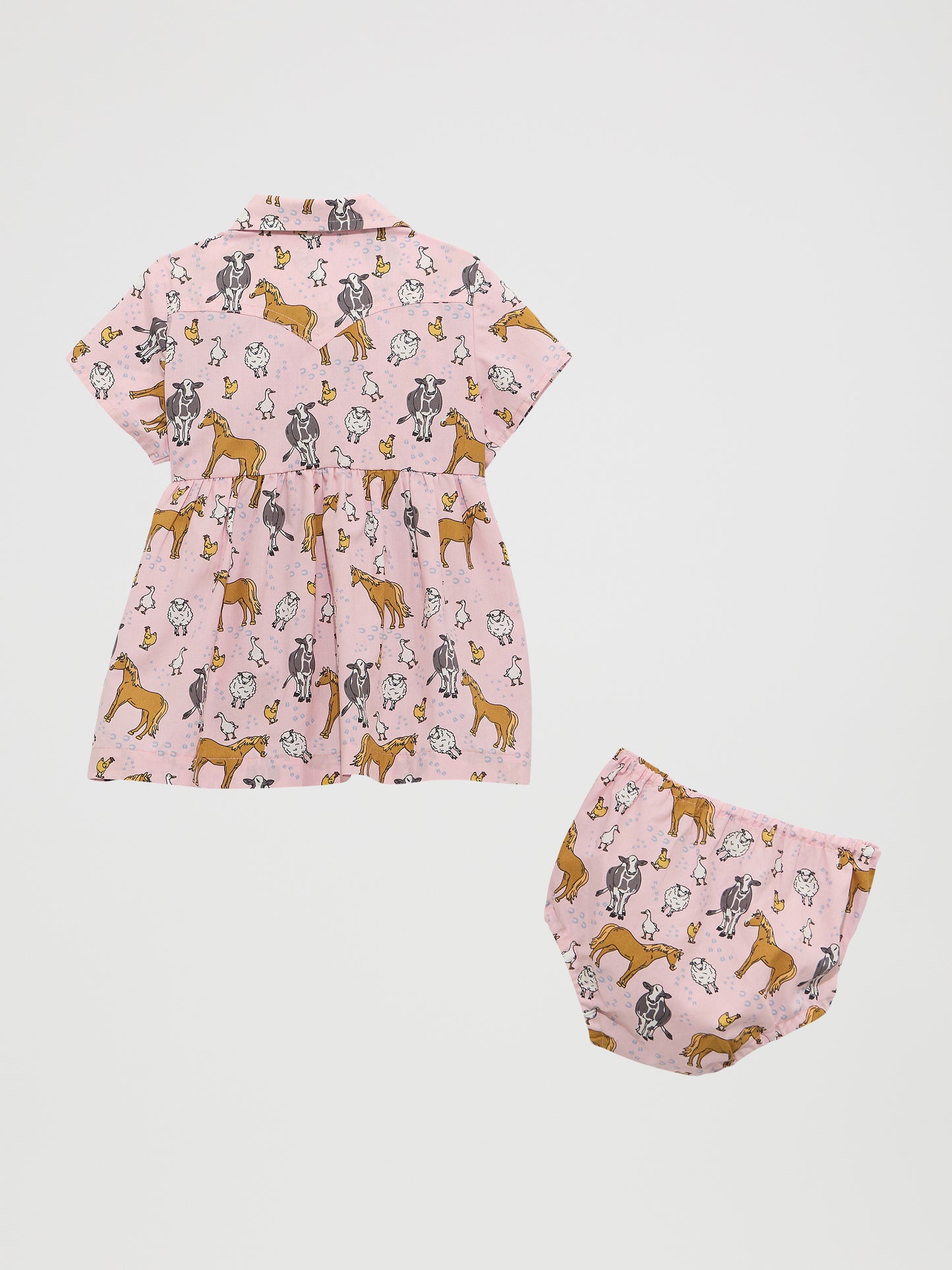 Baby Girl Dress