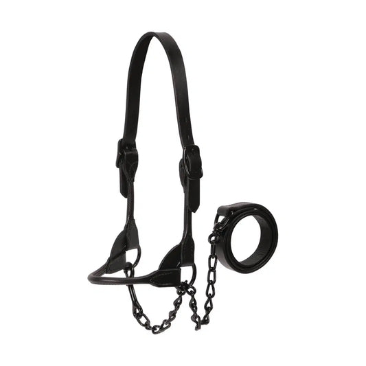 Livestock Magic Show Halter