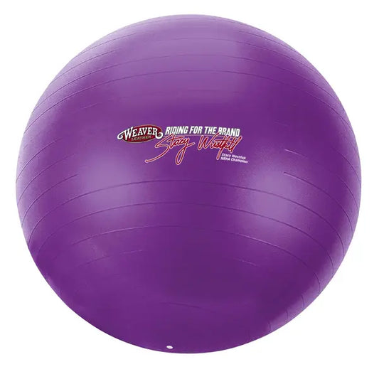 Equine Activity Ball