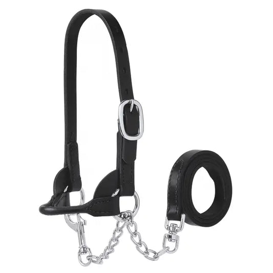 Calf Show Halter