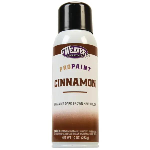 Cinnamon Protouch Paint