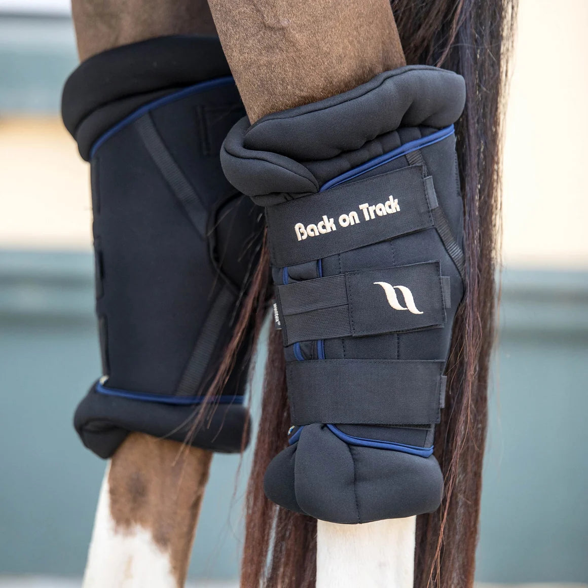 Deluxe Hock Boots
