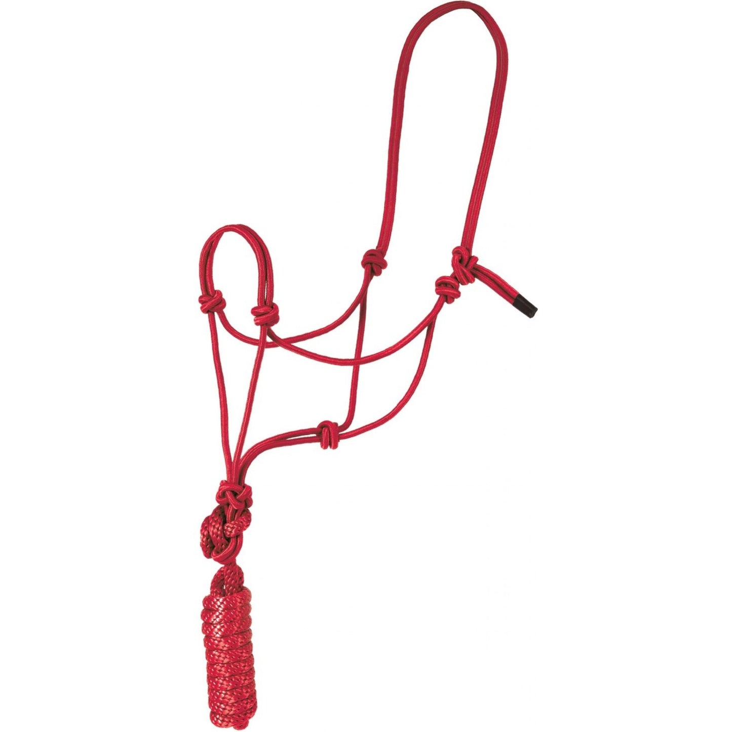 Rope Halter