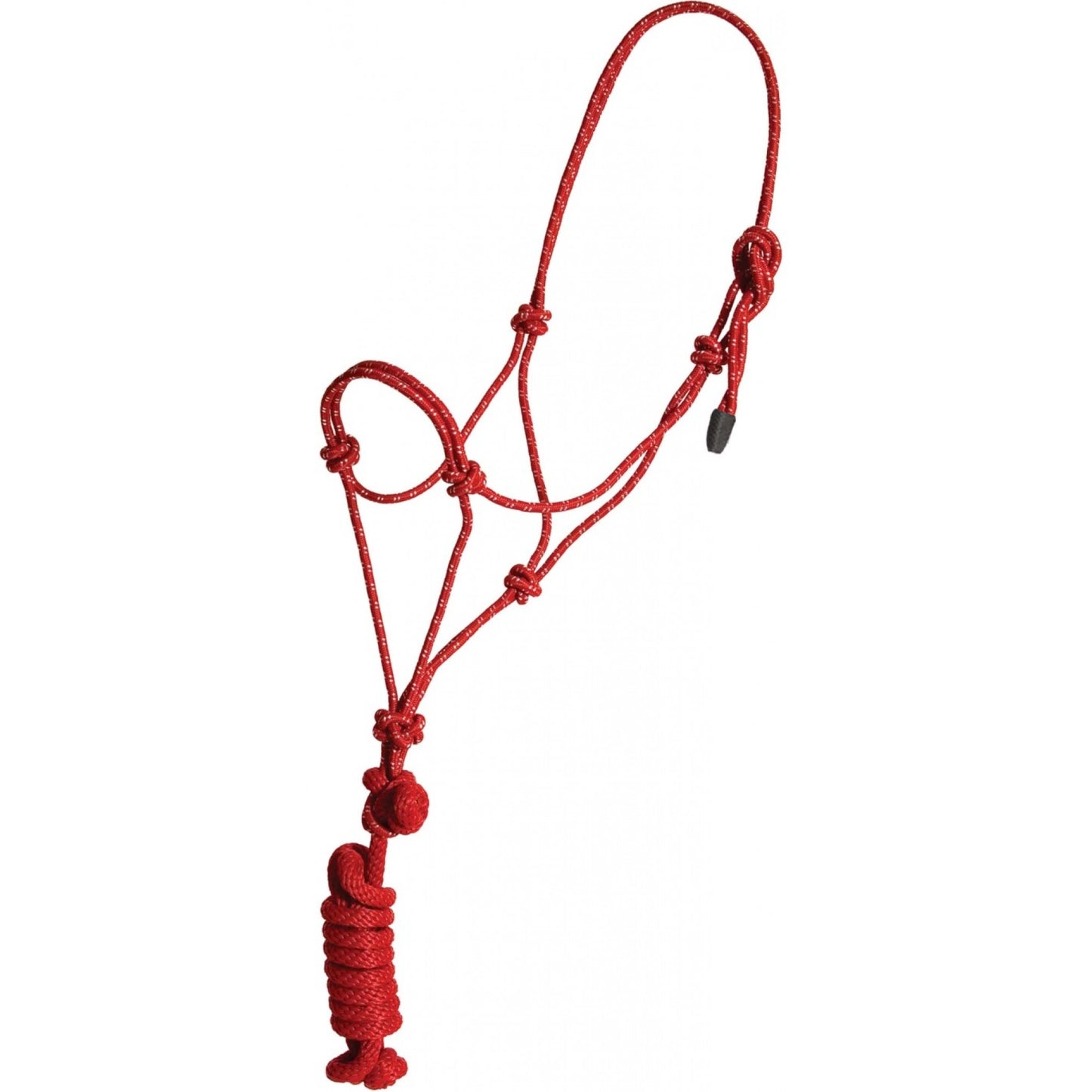 Rope Halter