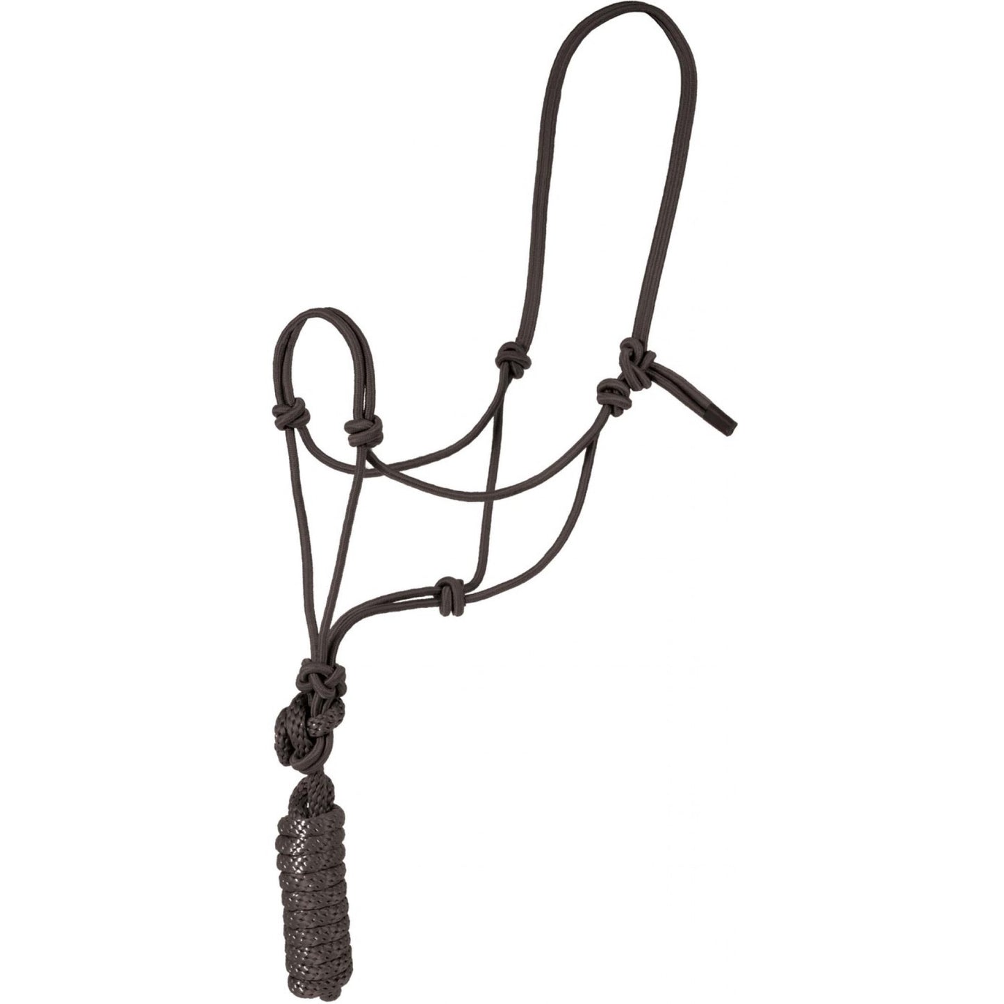 Rope Halter