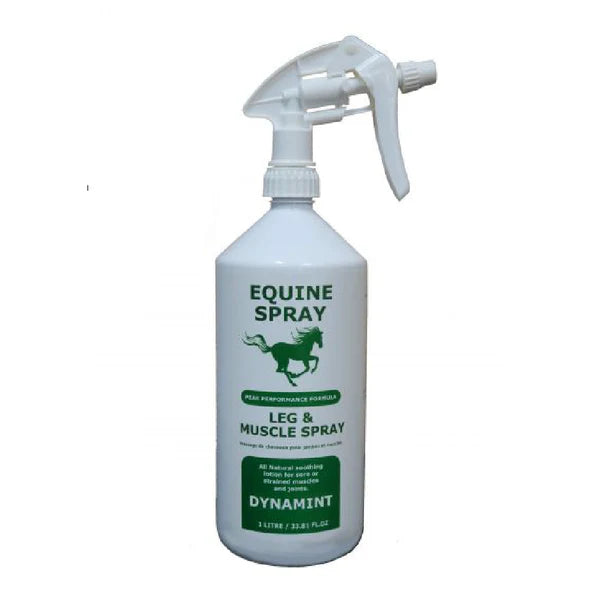 Dynamint Muscle Spray 1L