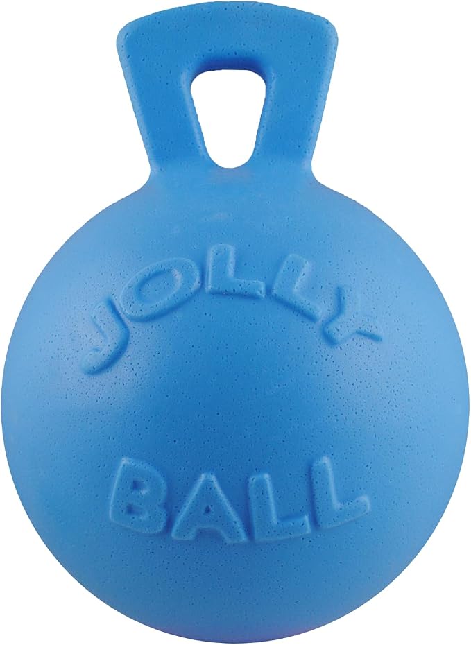 Blueberry Scented Jollyball