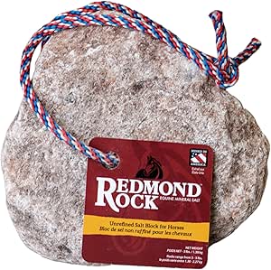 Redmond Rock On A Rope