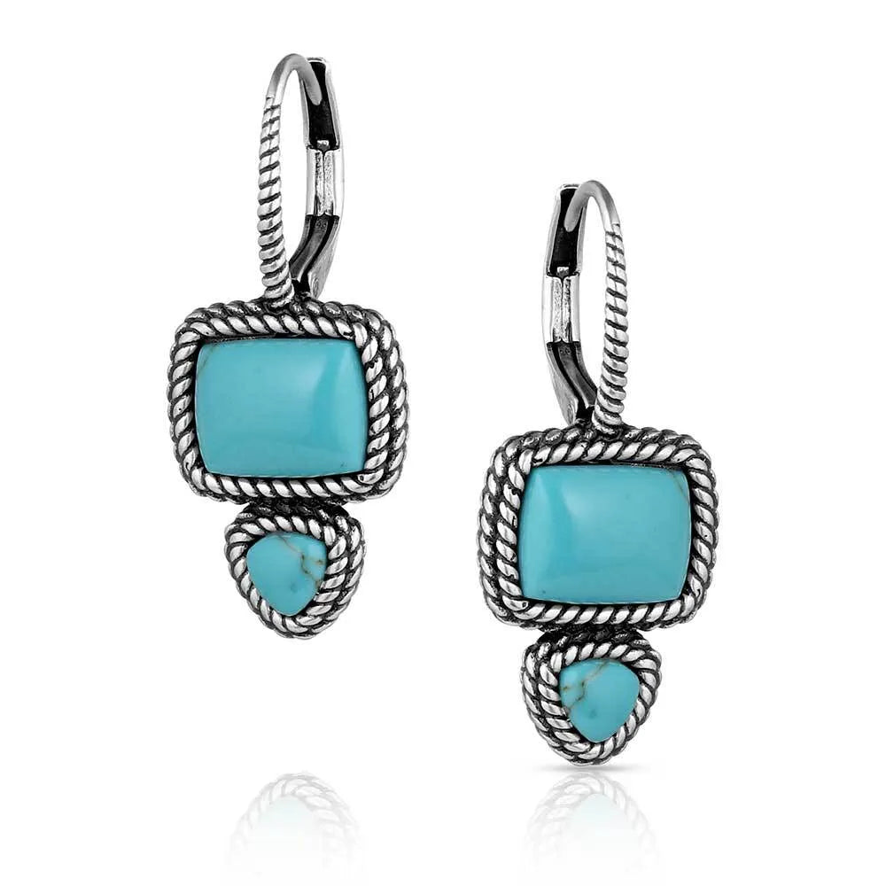 Split Decision Turquoise Earrings