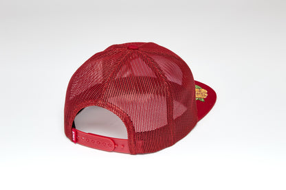 Kimes Ball Cap - Hunton