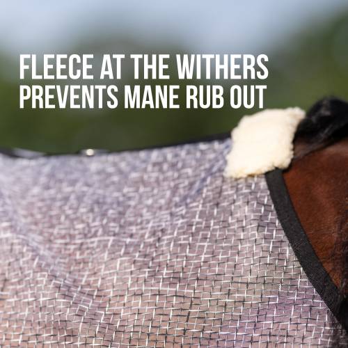 Fly Sheet