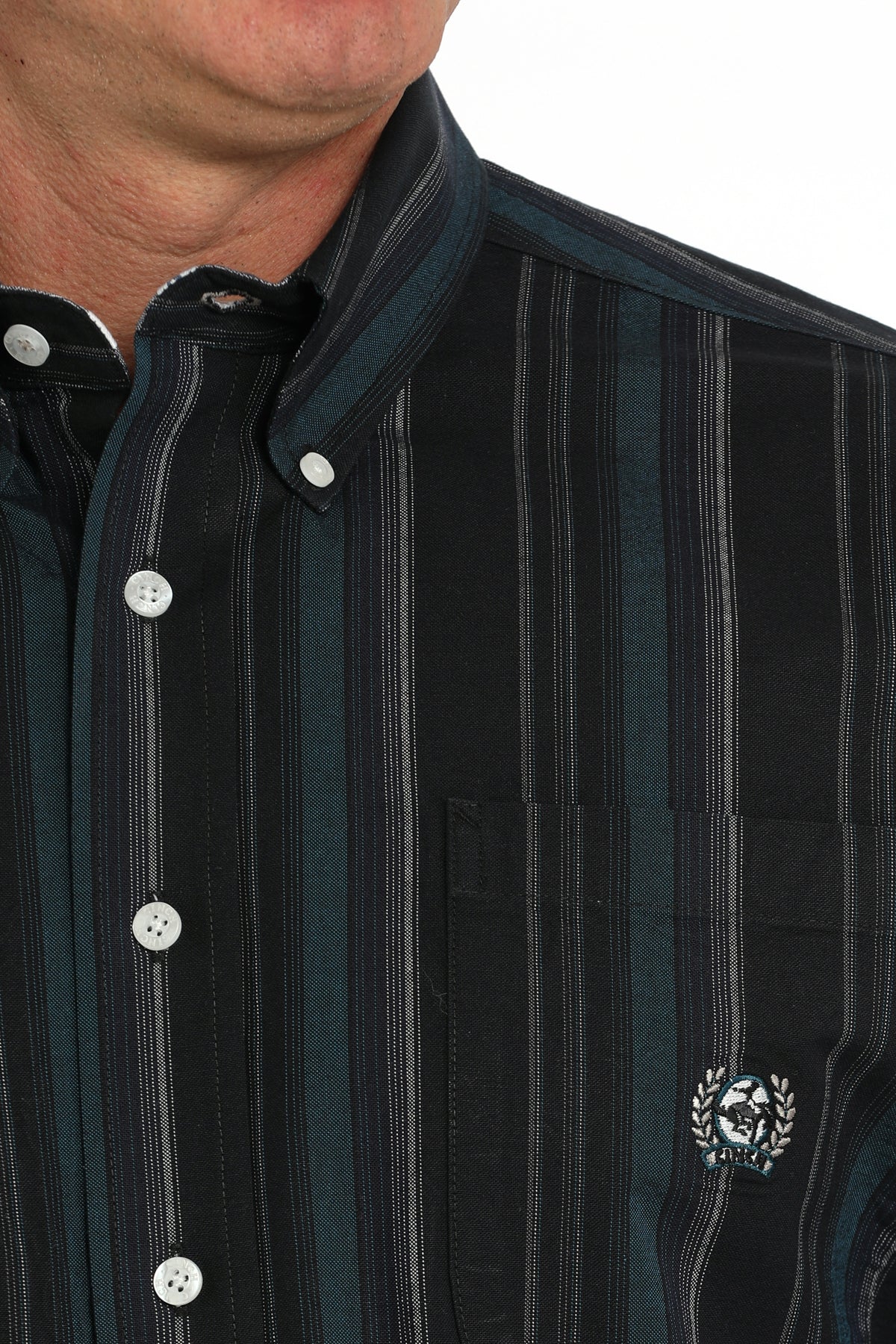 Men's Classic Fit Western Shirt - Vintage Stripe