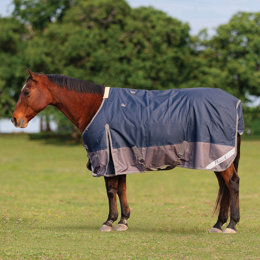Medium Weight Winter Blanket