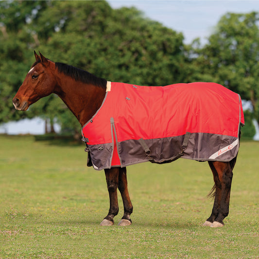 Medium Weight Winter Blanket