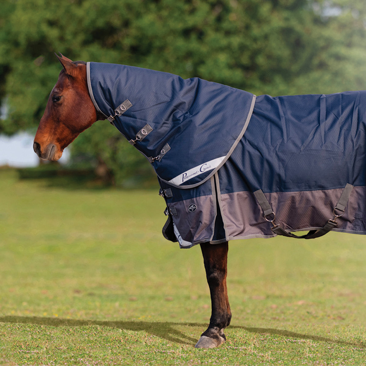 Neck Cover