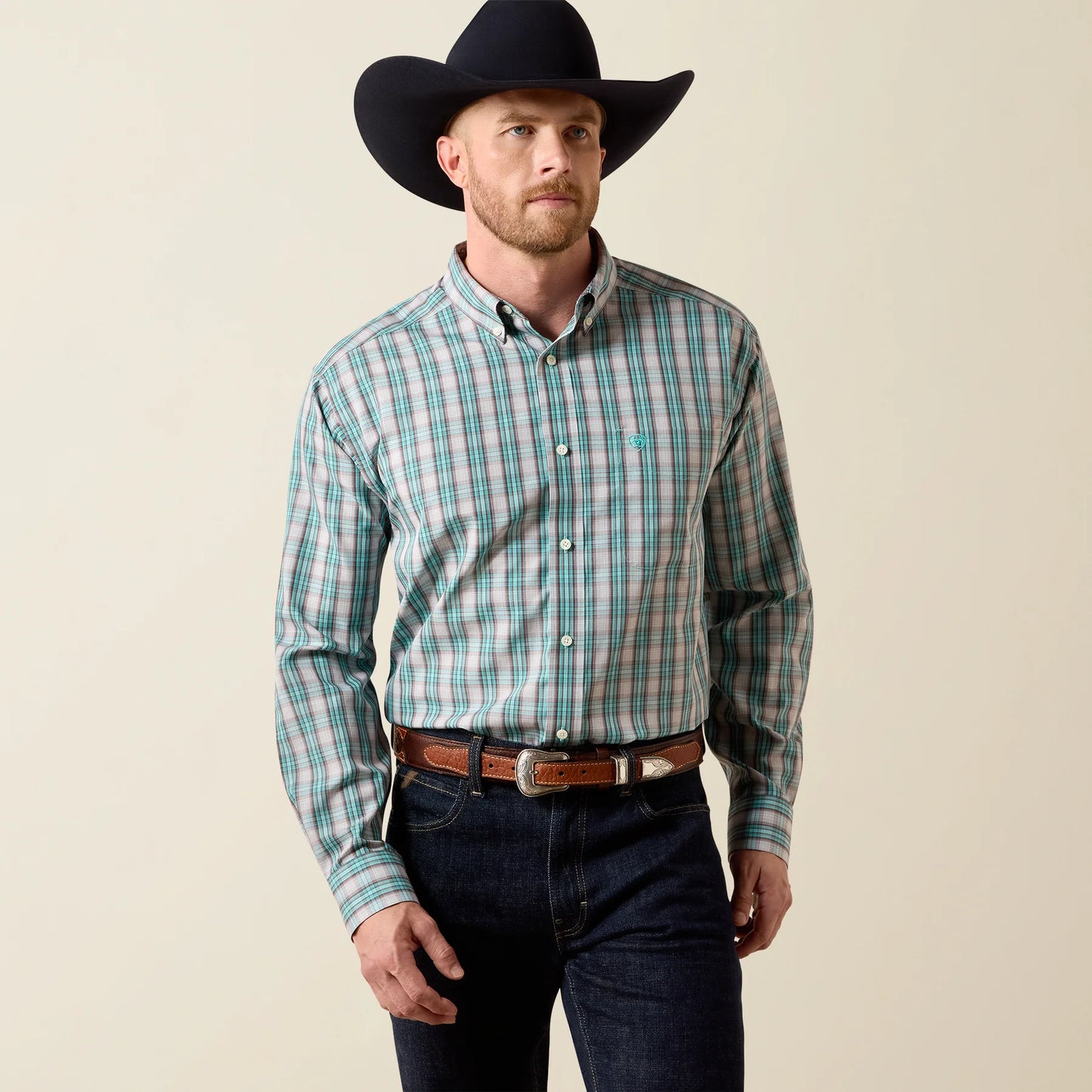 Mens Wrinkle Free Western Shirt
