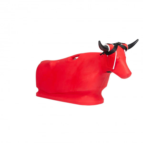Steer Dummy
